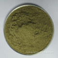high quality Organic Young Alfalfa Grass Powder